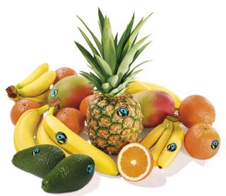 fruits.jpg